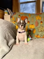 processed/37e6dbb9-d9c7-4278-a771-d19fa5f37b79/listing/c57aa82a-fd8d-42a0-aa10-9c857eb6ad4b/c8f0b53a-e915-479c-afe5-810abff022b9