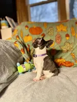 processed/37e6dbb9-d9c7-4278-a771-d19fa5f37b79/listing/c57aa82a-fd8d-42a0-aa10-9c857eb6ad4b/d87615cd-2ba2-47a9-a3e1-7b7ecf0d936f