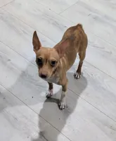 processed/37ea51cc-d9ab-4111-bee9-1c46fd6caa4d/listing/c8a6b02d-0eb4-4d36-8b26-ccbdcd25e591/03155814-9921-44f9-916c-18f7c87f90ad