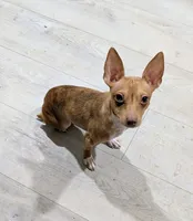 processed/37ea51cc-d9ab-4111-bee9-1c46fd6caa4d/listing/c8a6b02d-0eb4-4d36-8b26-ccbdcd25e591/340ed29b-986e-4a5f-aca5-f78a7ef92480