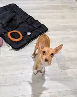 processed/37ea51cc-d9ab-4111-bee9-1c46fd6caa4d/listing/c8a6b02d-0eb4-4d36-8b26-ccbdcd25e591/54caef1f-a550-41e5-8c45-194ef9ad087f