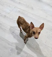 processed/37ea51cc-d9ab-4111-bee9-1c46fd6caa4d/listing/c8a6b02d-0eb4-4d36-8b26-ccbdcd25e591/ba70569e-e9c2-4f41-bc94-23ba87d5b259