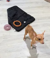 processed/37ea51cc-d9ab-4111-bee9-1c46fd6caa4d/listing/c8a6b02d-0eb4-4d36-8b26-ccbdcd25e591/bf1553e9-cbe3-47da-b8f2-263d5d5d7f1a