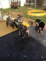 processed/3807ce49-064c-426e-a8ad-9642896d213e/facility/acef5ce8-2621-4fcb-9e13-bbdb2d23da72