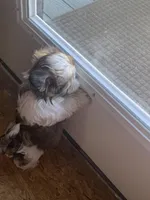 processed/3807ce49-064c-426e-a8ad-9642896d213e/facility/d93f43b6-f9db-4081-8309-b04191214404