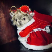 processed/380bcd67-b52c-4c62-b19b-f140ad2c981a/facility/15c9469f-f66d-41f3-8c50-94c8c74ab3bc