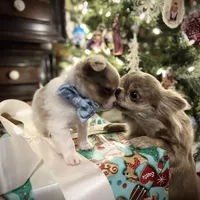 processed/380bcd67-b52c-4c62-b19b-f140ad2c981a/facility/165b3dda-466c-431c-a602-8ab518bb0387