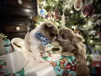 processed/380bcd67-b52c-4c62-b19b-f140ad2c981a/facility/165b3dda-466c-431c-a602-8ab518bb0387