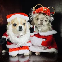 processed/380bcd67-b52c-4c62-b19b-f140ad2c981a/facility/2d5d034a-6dc1-4550-8cb9-b93fd02a6273