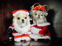 processed/380bcd67-b52c-4c62-b19b-f140ad2c981a/facility/2d5d034a-6dc1-4550-8cb9-b93fd02a6273