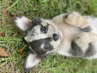 processed/380bcd67-b52c-4c62-b19b-f140ad2c981a/facility/48113dc4-a203-4a31-9f81-3f76717f83fc