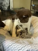 processed/380bcd67-b52c-4c62-b19b-f140ad2c981a/facility/9c52e4e8-ba92-4840-a8e3-18e45b5f7054