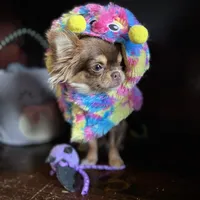 processed/380bcd67-b52c-4c62-b19b-f140ad2c981a/facility/a3b13845-1fd6-41ae-9507-b35f41bfe510