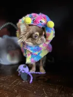 processed/380bcd67-b52c-4c62-b19b-f140ad2c981a/facility/a3b13845-1fd6-41ae-9507-b35f41bfe510