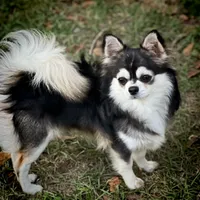 processed/380bcd67-b52c-4c62-b19b-f140ad2c981a/facility/b7cd9877-0624-46af-b049-72c4fffb60d9