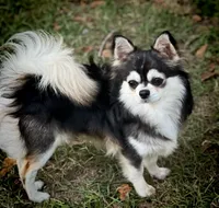 processed/380bcd67-b52c-4c62-b19b-f140ad2c981a/facility/b7cd9877-0624-46af-b049-72c4fffb60d9