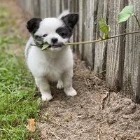 processed/380bcd67-b52c-4c62-b19b-f140ad2c981a/facility/c66b18a1-11d3-4911-a98f-69e7264de282