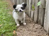 processed/380bcd67-b52c-4c62-b19b-f140ad2c981a/facility/c66b18a1-11d3-4911-a98f-69e7264de282