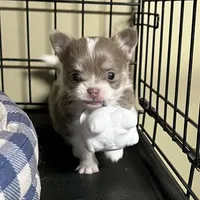 processed/380bcd67-b52c-4c62-b19b-f140ad2c981a/facility/e2a54d02-64d9-4317-b3ca-65823db786ed