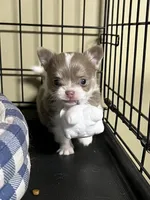 processed/380bcd67-b52c-4c62-b19b-f140ad2c981a/facility/e2a54d02-64d9-4317-b3ca-65823db786ed