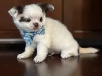 processed/380bcd67-b52c-4c62-b19b-f140ad2c981a/listing/b6c7b43b-8a46-4e01-9bf7-dff9be3f3db7/229f2d88-6e00-4d09-b7e9-5419a0633c31