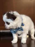 processed/380bcd67-b52c-4c62-b19b-f140ad2c981a/listing/b6c7b43b-8a46-4e01-9bf7-dff9be3f3db7/bbb5670a-bb43-4d66-adf1-80596f46ddd6