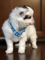 processed/380bcd67-b52c-4c62-b19b-f140ad2c981a/listing/b6c7b43b-8a46-4e01-9bf7-dff9be3f3db7/e38dc433-43ff-4e1a-ae36-fea8d4422b7d