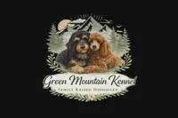 Garvey, a male Whoodle for sale in Woodland, WA – 2 of 7