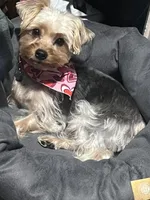 processed/38145650-4e4e-49e6-9e1b-114df67dde55/facility/1598fcbf-8389-46ce-a732-ff11274c86bd