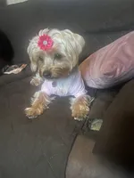 processed/38145650-4e4e-49e6-9e1b-114df67dde55/facility/4bf7d8c0-888e-478c-aa8a-a736ae0811af