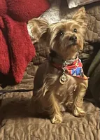 processed/38145650-4e4e-49e6-9e1b-114df67dde55/facility/69a85cbc-a579-4f59-bce0-ba9c687c616d