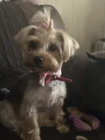 processed/38145650-4e4e-49e6-9e1b-114df67dde55/facility/e68e0d52-5c50-4b05-bb11-522db3bdbcf6