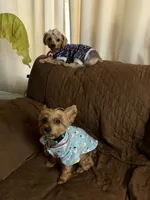 processed/38145650-4e4e-49e6-9e1b-114df67dde55/facility/f1038980-812f-4192-abea-dd4af0a68515