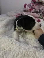 processed/38175e68-160d-4455-b2ac-b773b8dbacd1/listing/2c77feb3-ad59-4c85-aa0d-de87e4bf2a68/4f4d3e68-f9e1-499a-8360-b10af229fb45