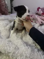 processed/38175e68-160d-4455-b2ac-b773b8dbacd1/listing/2c77feb3-ad59-4c85-aa0d-de87e4bf2a68/84c989cb-f3f6-460f-82f9-bb0755341f6c