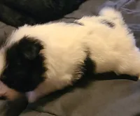 processed/38200fa5-7db7-46d7-a2f0-8e27094394c3/listing/2cac5772-8592-4da1-b377-6b4d4fed399f/0caa5147-1c29-4d80-836f-c020087059e9