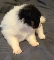 processed/38200fa5-7db7-46d7-a2f0-8e27094394c3/listing/2cac5772-8592-4da1-b377-6b4d4fed399f/9c0a030d-8056-49f5-b589-91d065fb0568