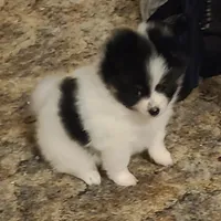 processed/38200fa5-7db7-46d7-a2f0-8e27094394c3/listing/2cac5772-8592-4da1-b377-6b4d4fed399f/a4266409-234e-4ec8-97a2-a28bdb1346cb