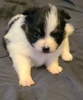 processed/38200fa5-7db7-46d7-a2f0-8e27094394c3/listing/2cac5772-8592-4da1-b377-6b4d4fed399f/c09a2f4b-389e-4d05-b959-54bd9ade6137