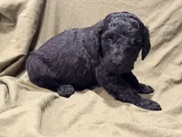 processed/383ef65f-31d9-445a-aa88-992d13b07bdf/listing/c542e7a9-a11a-45f1-834d-71da3a0ea633/26583c6d-c9a2-4049-b7a2-f4c655deb5e9