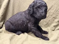 processed/383ef65f-31d9-445a-aa88-992d13b07bdf/listing/c542e7a9-a11a-45f1-834d-71da3a0ea633/521cb13a-e8af-4d61-81de-8eb5a78714fb