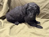 processed/383ef65f-31d9-445a-aa88-992d13b07bdf/listing/c542e7a9-a11a-45f1-834d-71da3a0ea633/8a503ced-a3cb-43da-a562-208ce88c48d6