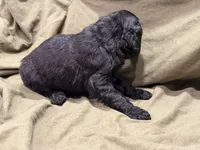 processed/383ef65f-31d9-445a-aa88-992d13b07bdf/listing/c542e7a9-a11a-45f1-834d-71da3a0ea633/b52e2fae-fb0d-4080-b54f-f0dc5e95f50e