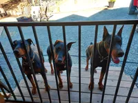 processed/38420ad1-f250-42fd-a2f4-43a902ae6136/facility/2d89aa70-69da-4e38-9ded-b4b3dae4ac12