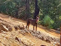 processed/38420ad1-f250-42fd-a2f4-43a902ae6136/facility/79d4c043-29ca-44e1-9839-d0b2016de0b6