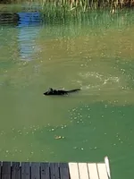 processed/38420ad1-f250-42fd-a2f4-43a902ae6136/facility/a17537ad-927c-4997-b8ce-be29513ef443