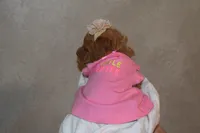 Poppy, a female Goldendoodle for sale in Harrison, AR – Photo 5 of 5