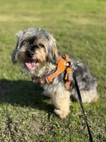 processed/384cec16-7d5b-460a-9c63-baa490ad9505/listing/c1aa4037-d5db-4830-9802-6c94b4023636/1ec471e4-9120-400a-b208-89dd67d1c1d5