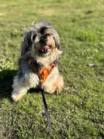 processed/384cec16-7d5b-460a-9c63-baa490ad9505/listing/c1aa4037-d5db-4830-9802-6c94b4023636/27d8170d-6648-4487-a7e5-856ba1732836