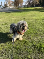 processed/384cec16-7d5b-460a-9c63-baa490ad9505/listing/c1aa4037-d5db-4830-9802-6c94b4023636/42bbe856-5eb2-4687-a9b6-1fda5c159339